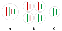 Genetic Testing for Hair Loss: What 23andMe and Polygenic Scores Actually Predict