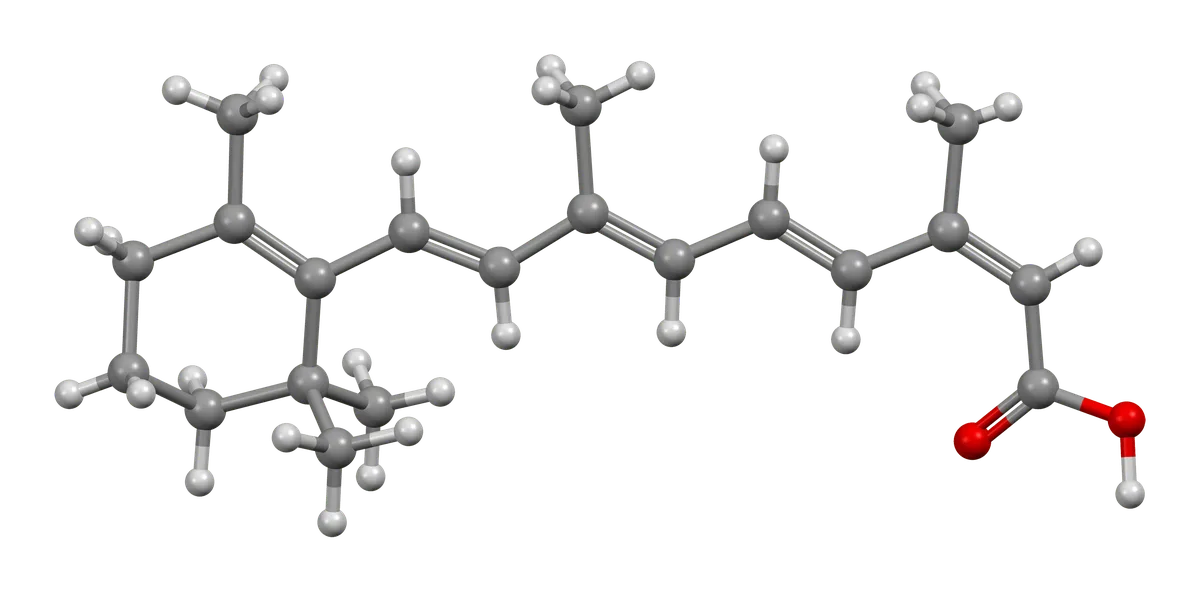Isotretinoin Hair Loss: How Common It Actually Is and What Recovery Looks Like