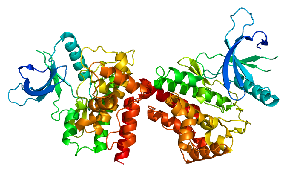 Structure of the JAK2 protein. Based on PyMOL rendering of PDB 2b7a .