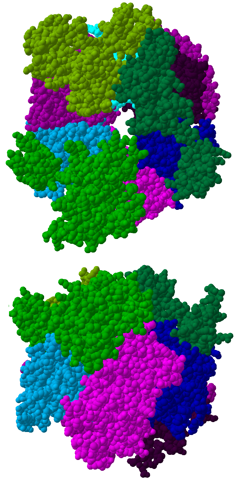 Top and side view of the crystal structure of the human en:Exosome complex