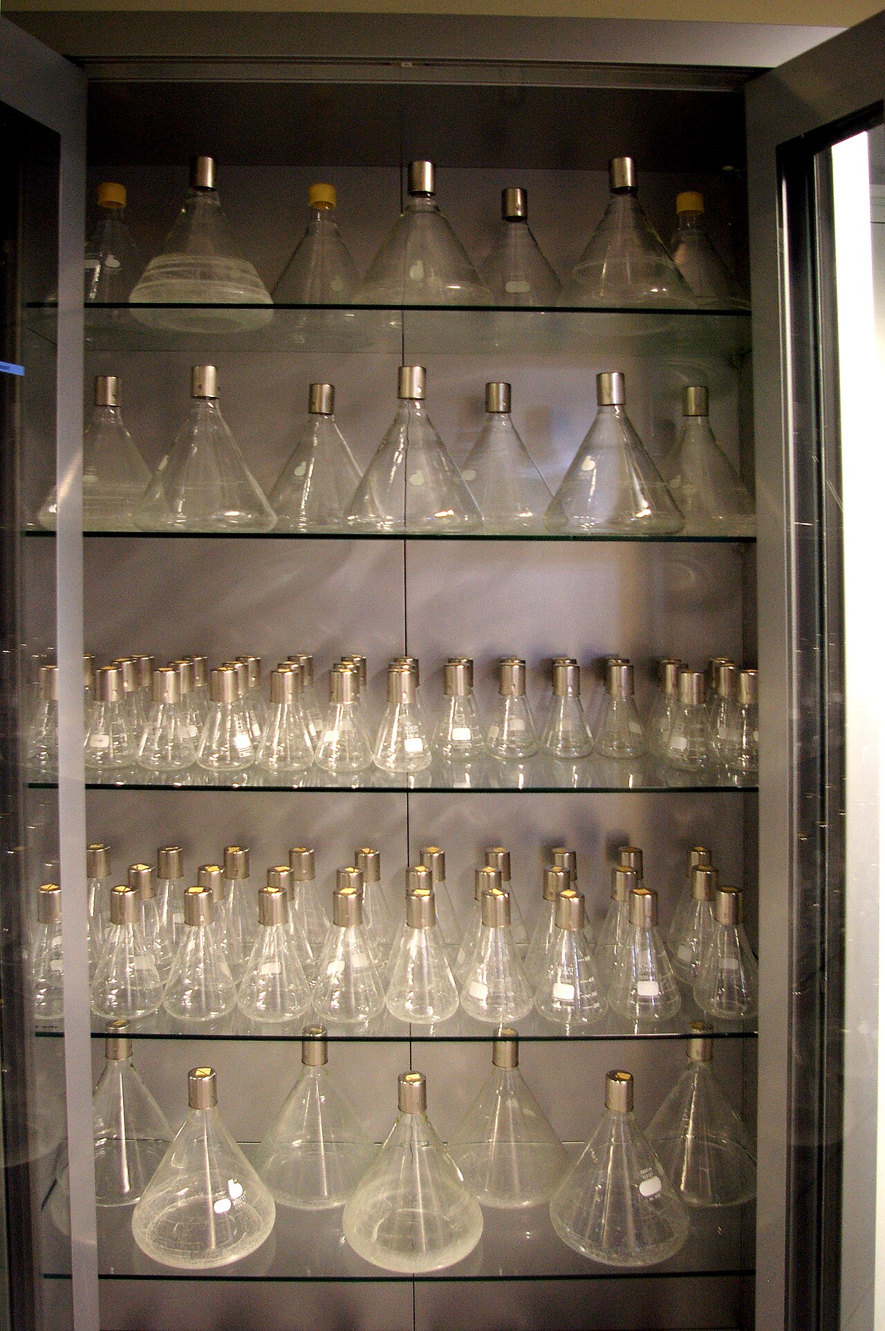 A cabinet with culture flask in MPI-CBG