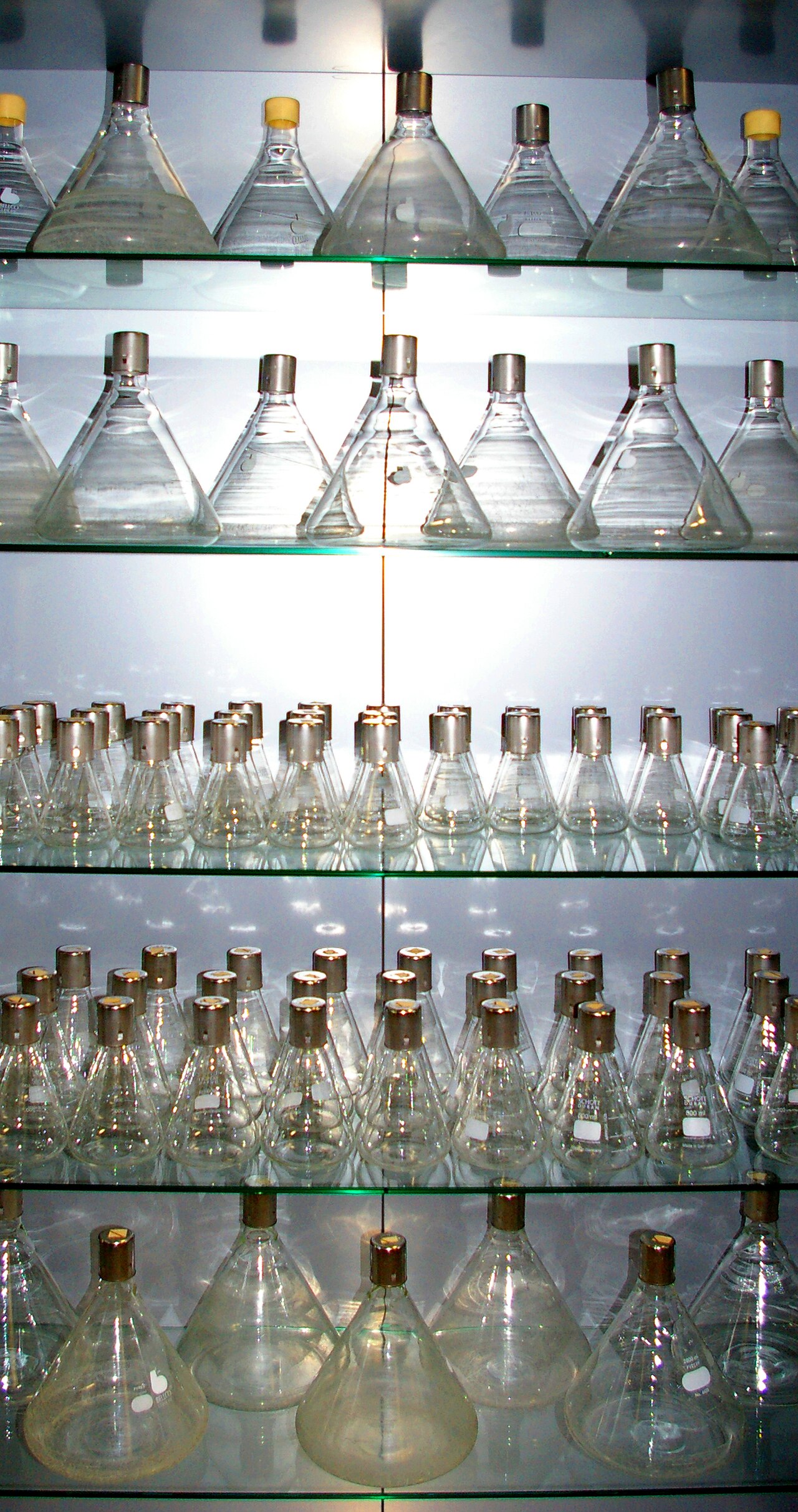 A cabinet with culture flask in MPI-CBG