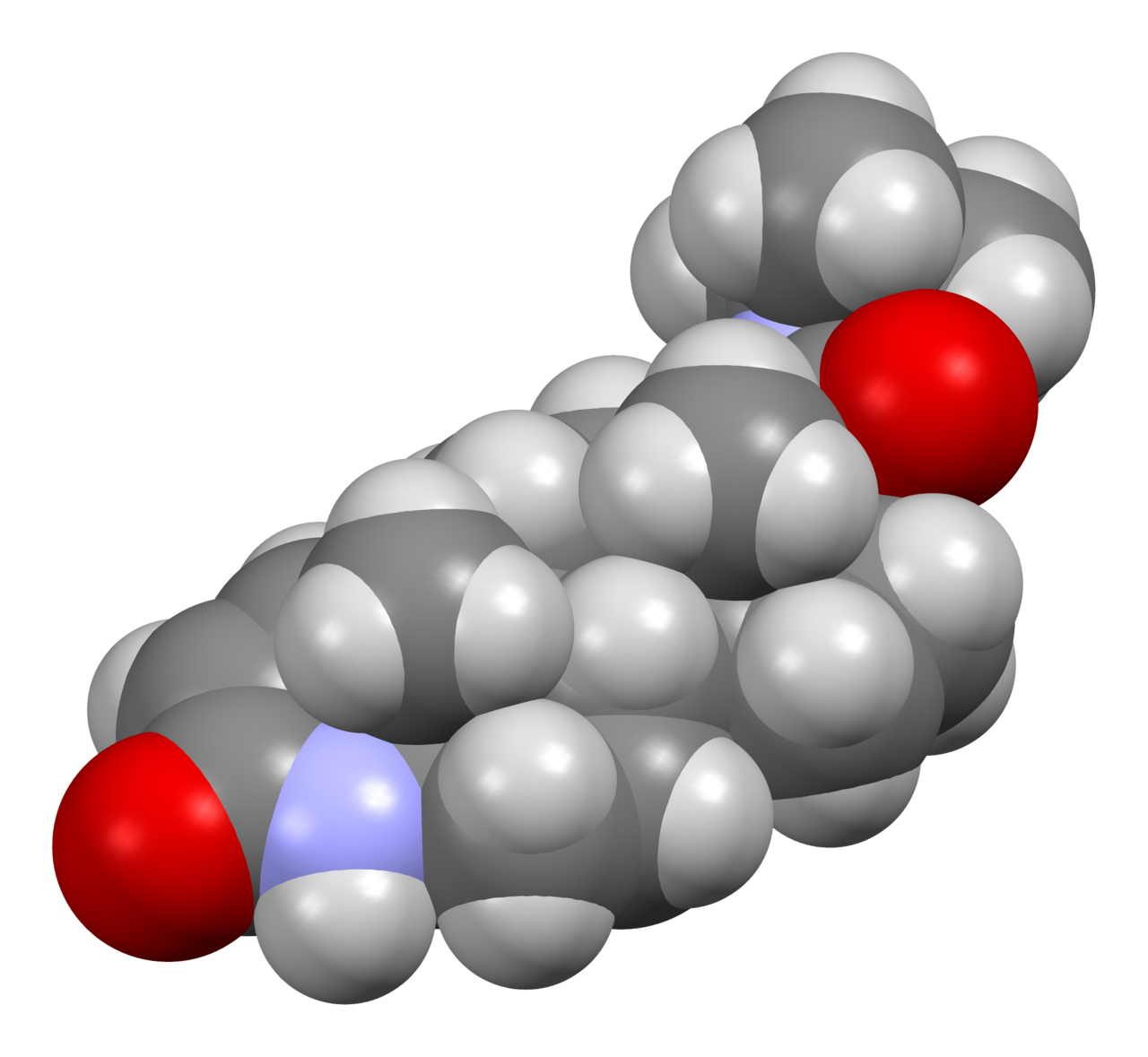 Space-filling model of a finasteride molecule, C 23 H 36 N 2 O 2 , as found in the crystal structure reported in J. Pharm. Sci. (2000) 89 , 1271- (CSD entry WOLXOK03 ). Colour code: Carbon, C: grey Hydrogen, H: white Nitrogen, N: blue Oxyge