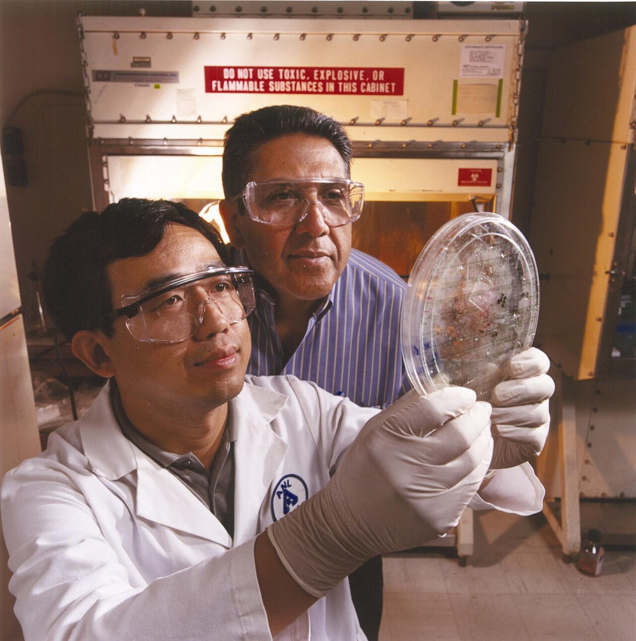 Federal scientists at Argonne National Laboratory examining induced pluripotent stem cells