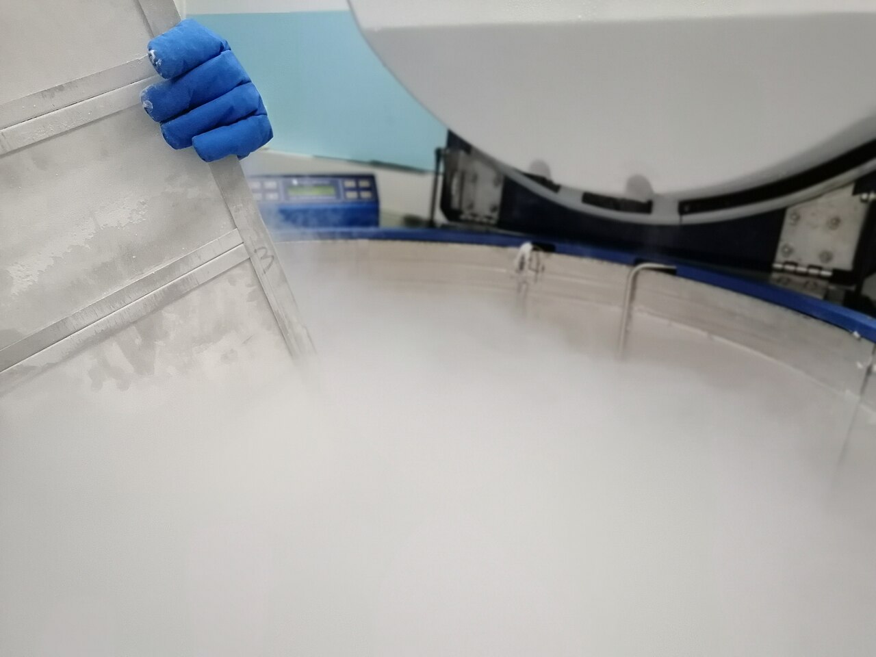 Cryopreservation of stem cells in liquid nitrogen at Transfusional Center