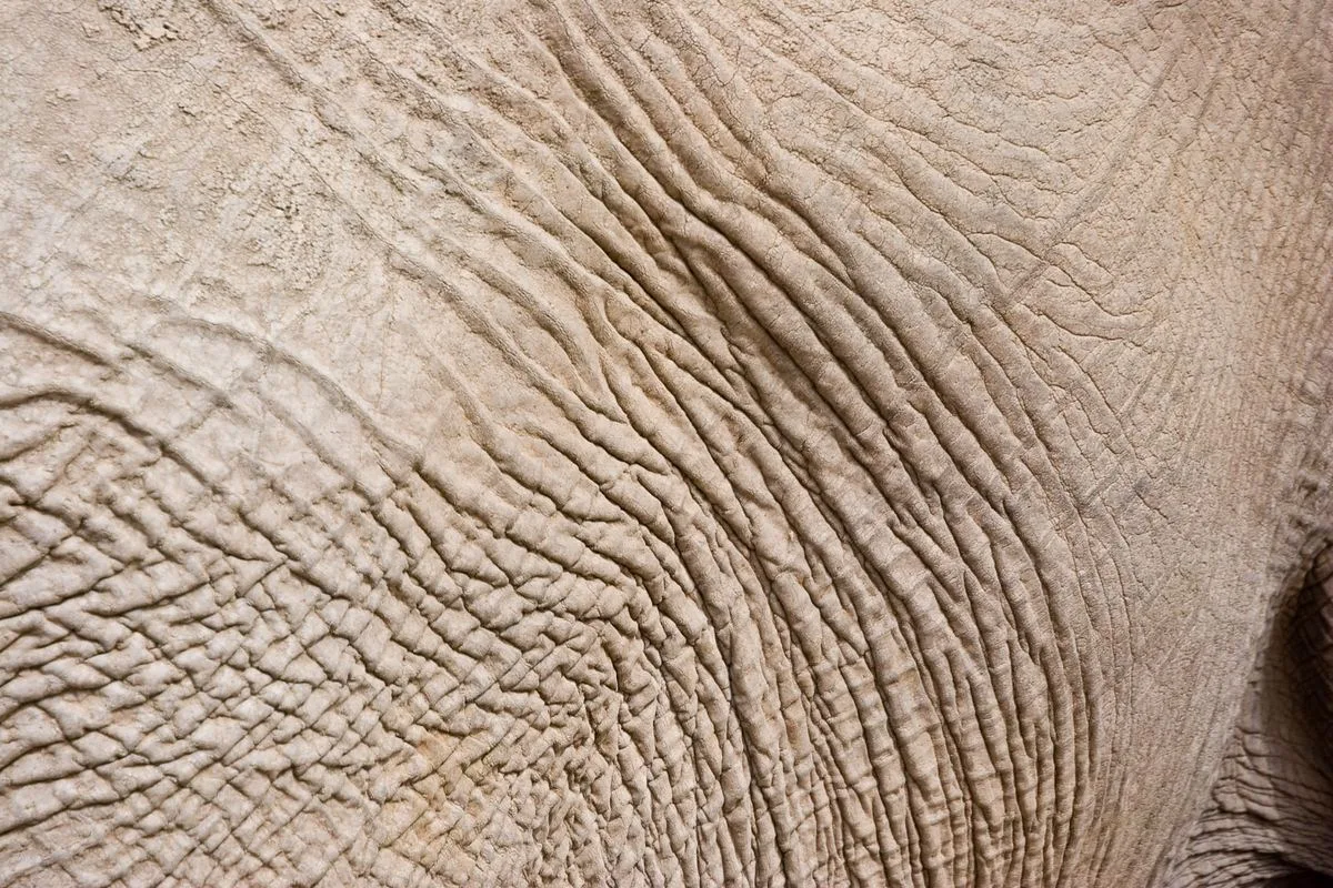 HairClone Is Banking Follicles Now So You Can Restore Hair Later, But When Is 'Later'?