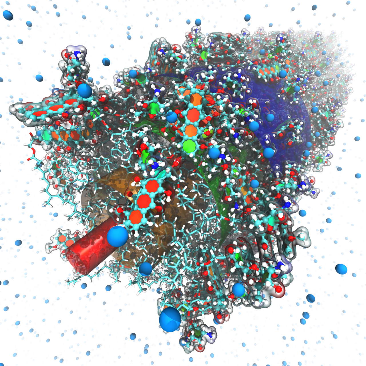 Squalenoyl-doxorubicin is a prospective anti-cancer nanomedicine, which is delivered in the form of elongated self-assembled nanoparticles. It possesses a number of advantages in comparison with well-known drug doxorubicin itself including