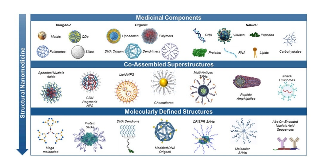 Adapted from Mirkin CA, Mrksich M, Artzi N (July 2025). "The emerging era of structural nanomedicine". Nature Reviews Bioengineering. 3: 526–528; Mirkin CA, Langer R, Mrksich M, Margolin AA, Petrosko SH, Artzi N (May 13, 2025). "Blueprints