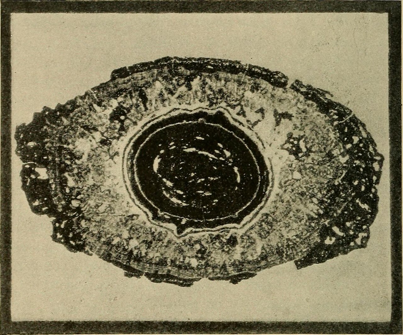 Identifier : systemofgenitour01morr ( find matches ) Title : A system of genito-urinary diseases, syphilology and dermatology Year : 1893 ( 1890s ) Authors : Morrow, Prince A. (Prince Albert), 1846-1913, ed Subjects : Skin Syphilis Genitour