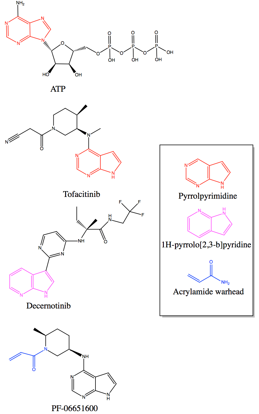 Common structure groups of ATP and inhibitors that target the ATP binding site on JAK3.