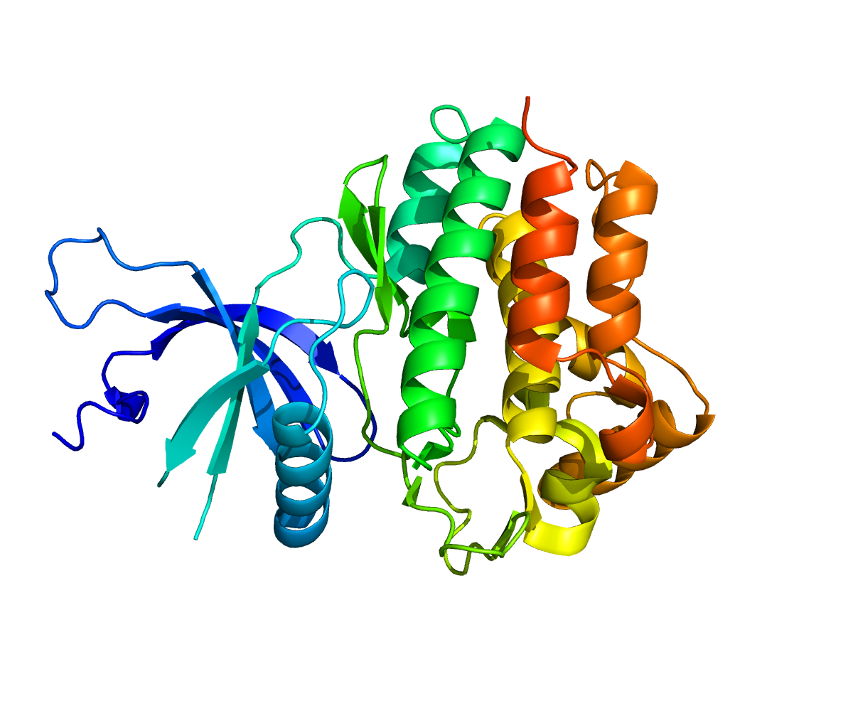 Structure of protein JAK1.Based on PyMOL rendering of PDB 3EYG .