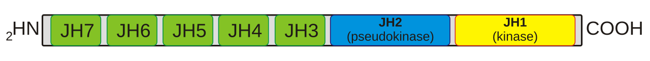Chemical structure of brepocitinib