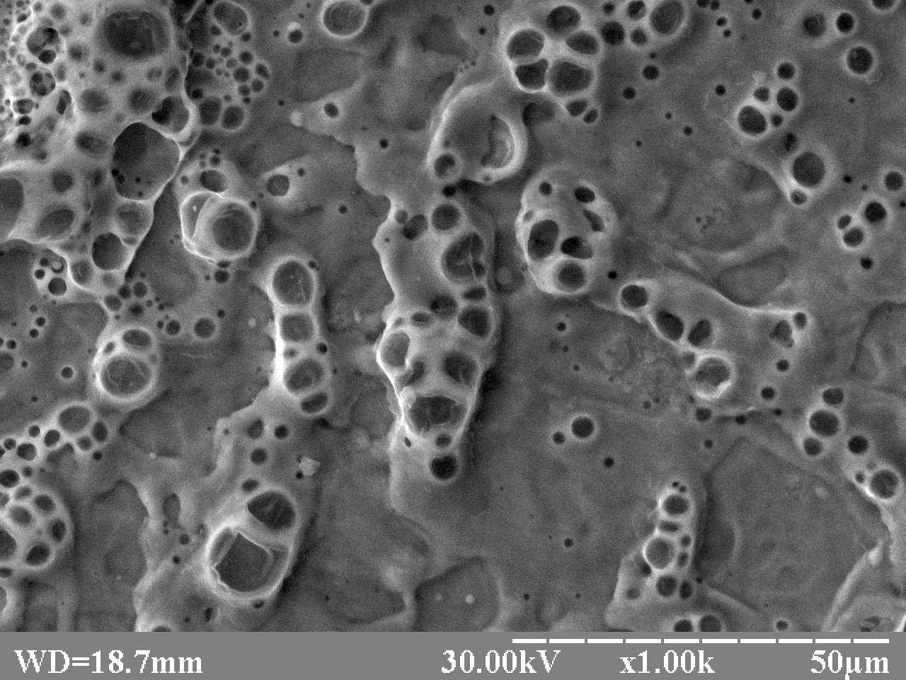 Laser treatment of steel 15Kh13MF in transparent condensed medium (magnification - x1K)