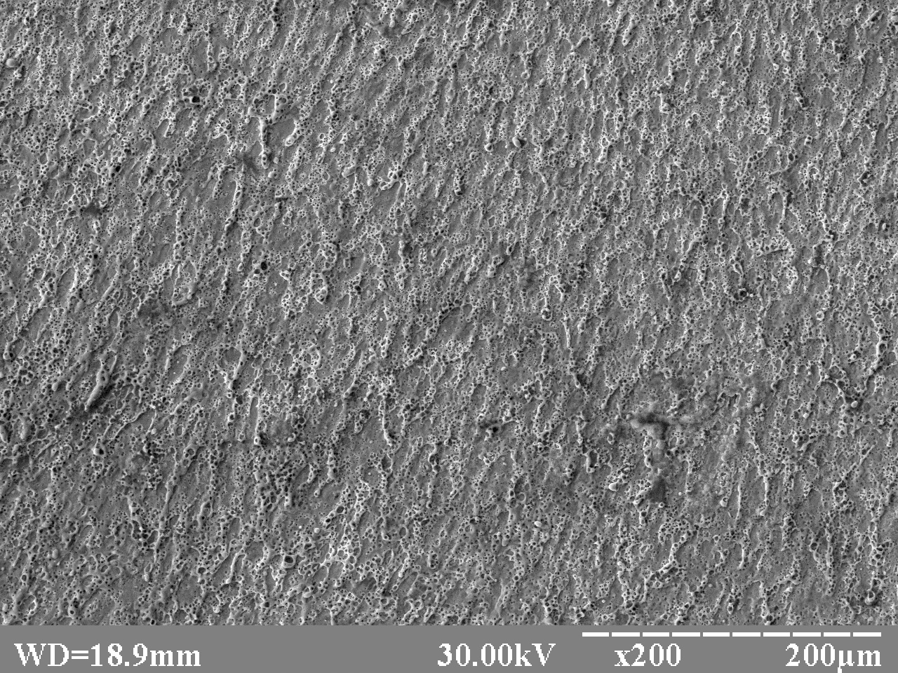A series of 15Kh13MF steel images after pulsed nanosecond laser treatment in the transparent condensed medium (water), different magnifications