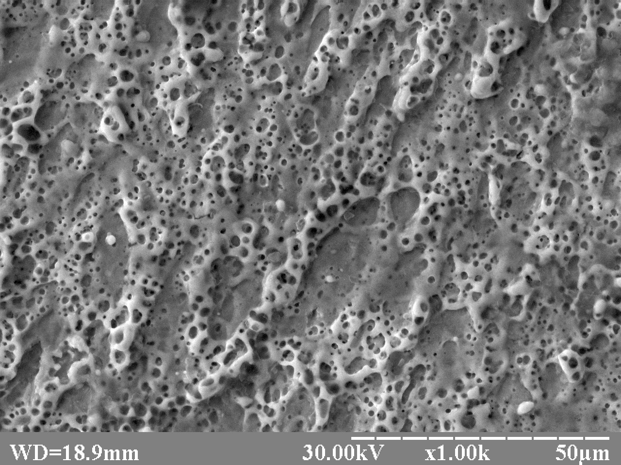 A series of 15Kh13MF steel images after pulsed nanosecond laser treatment in the transparent condensed medium (water), different magnifications