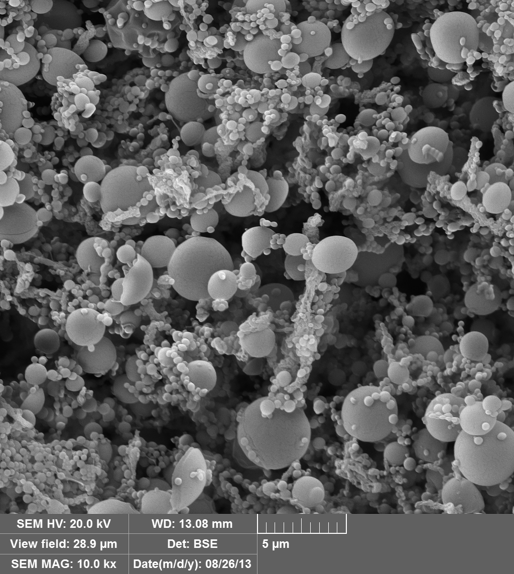 This shows an SEM scan of PLG particles made by ultrasound method.
