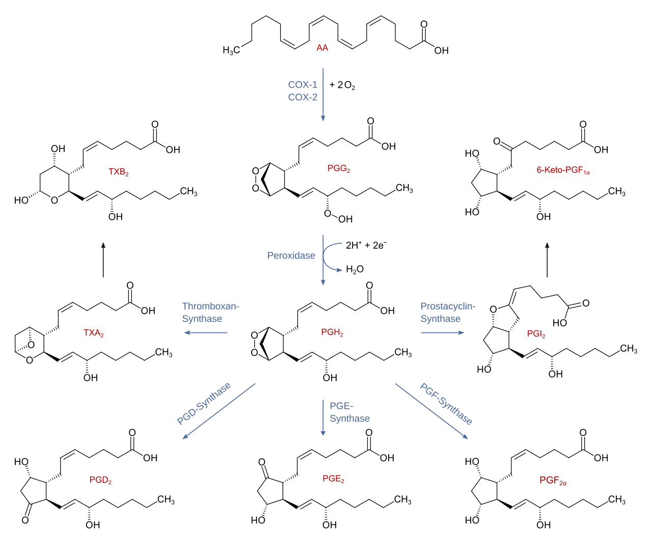 Diels-Alder in the total synthesis of prostaglandin F2α by E. J. Corey
