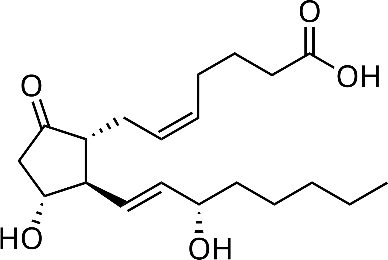 Structure of prostaglandin E2
