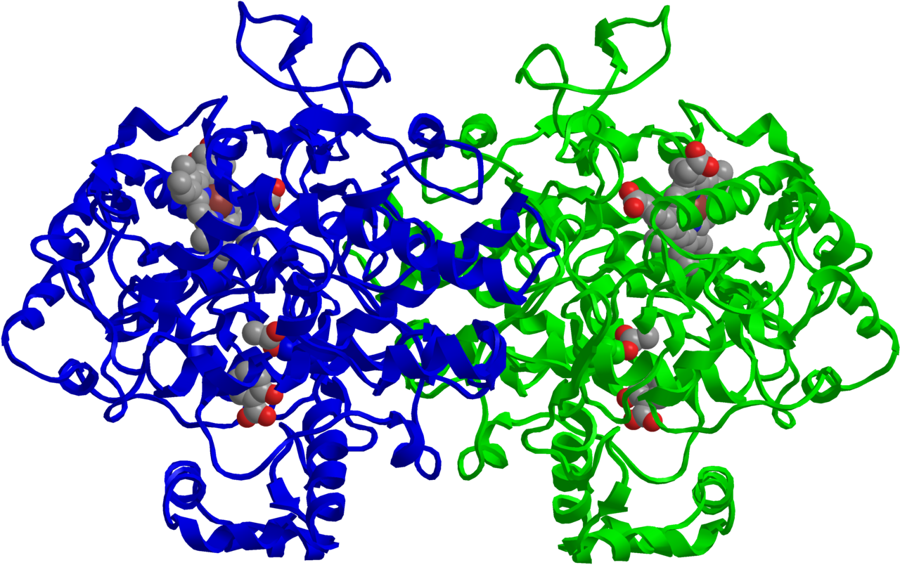 Structure of prostaglandin F2alpha