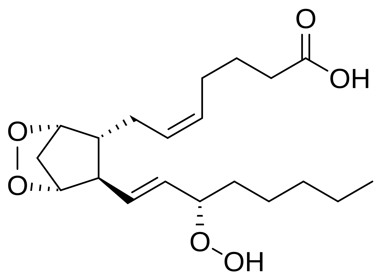 Comparative response curve across dosage cohorts highlighting efficacy thresholds and safety margins.