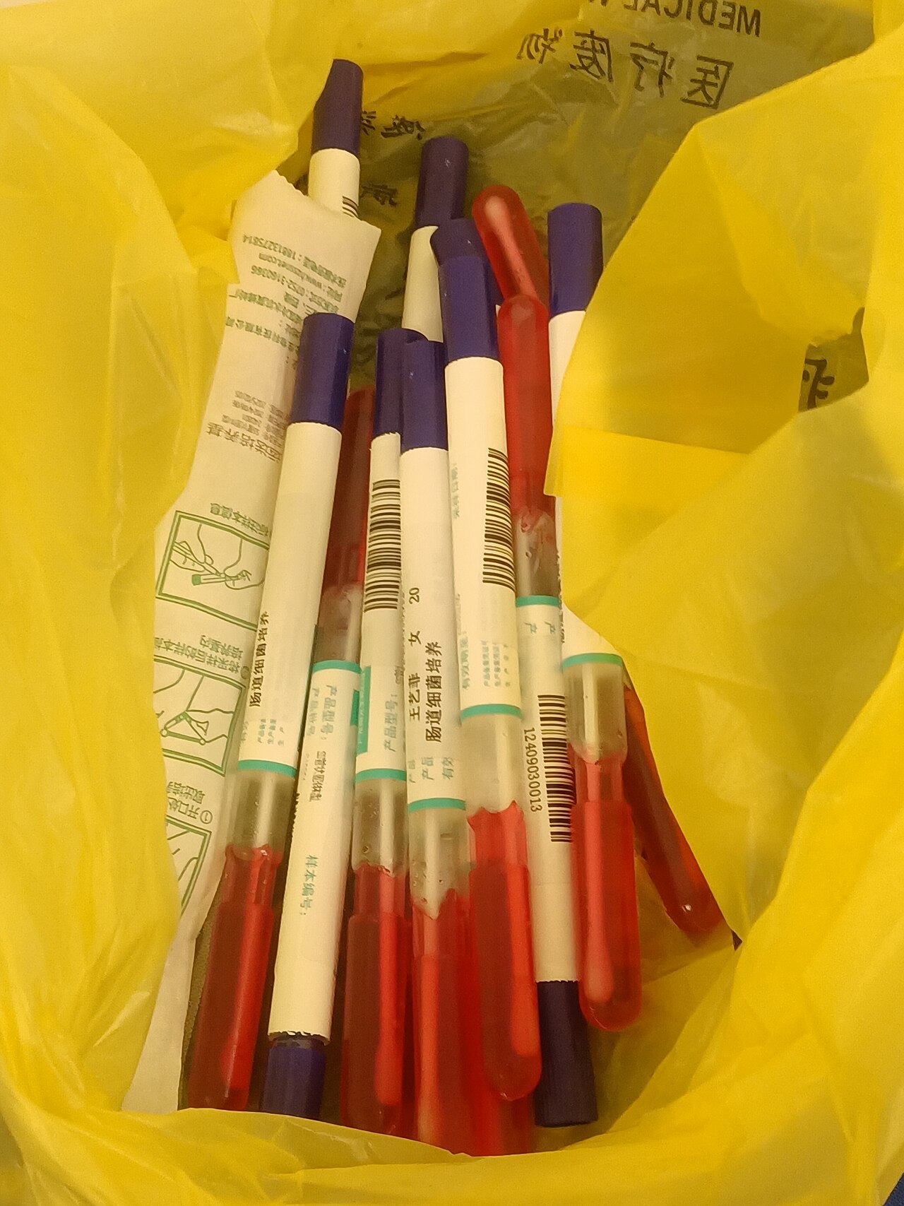 Intestinal bacteria culture test tube