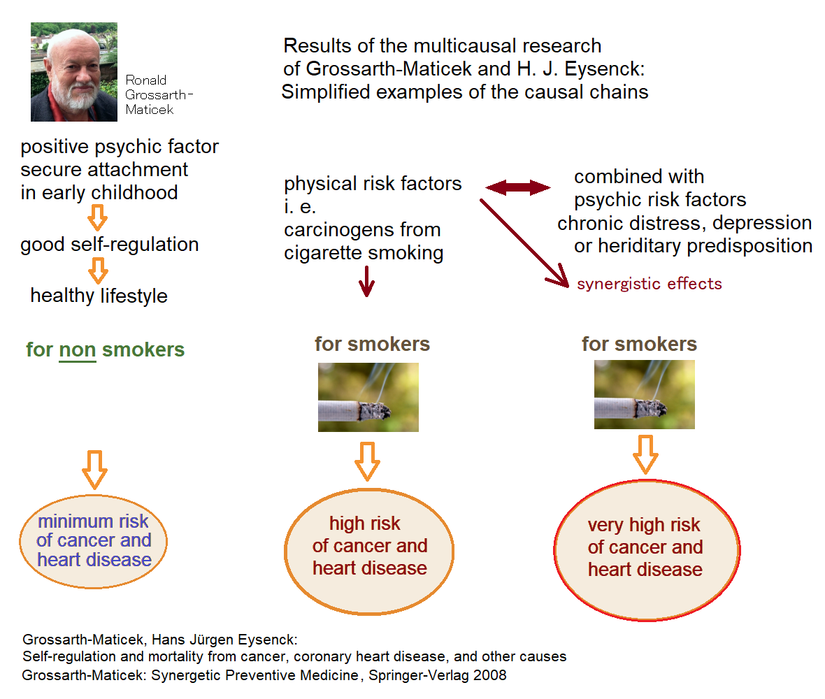 Results of multicausal reseach: Simplified causal chains for health or cancer and heart disease.