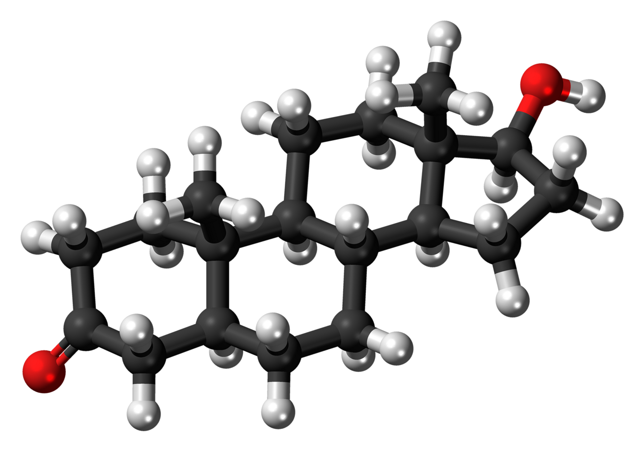 Ball-and-stick model of the dihydrotestosterone molecule, an <a href="https://en.wikipedia.org/wiki/anabolic-androgenic_steroid" class="extiw" title="w:anabolic-a