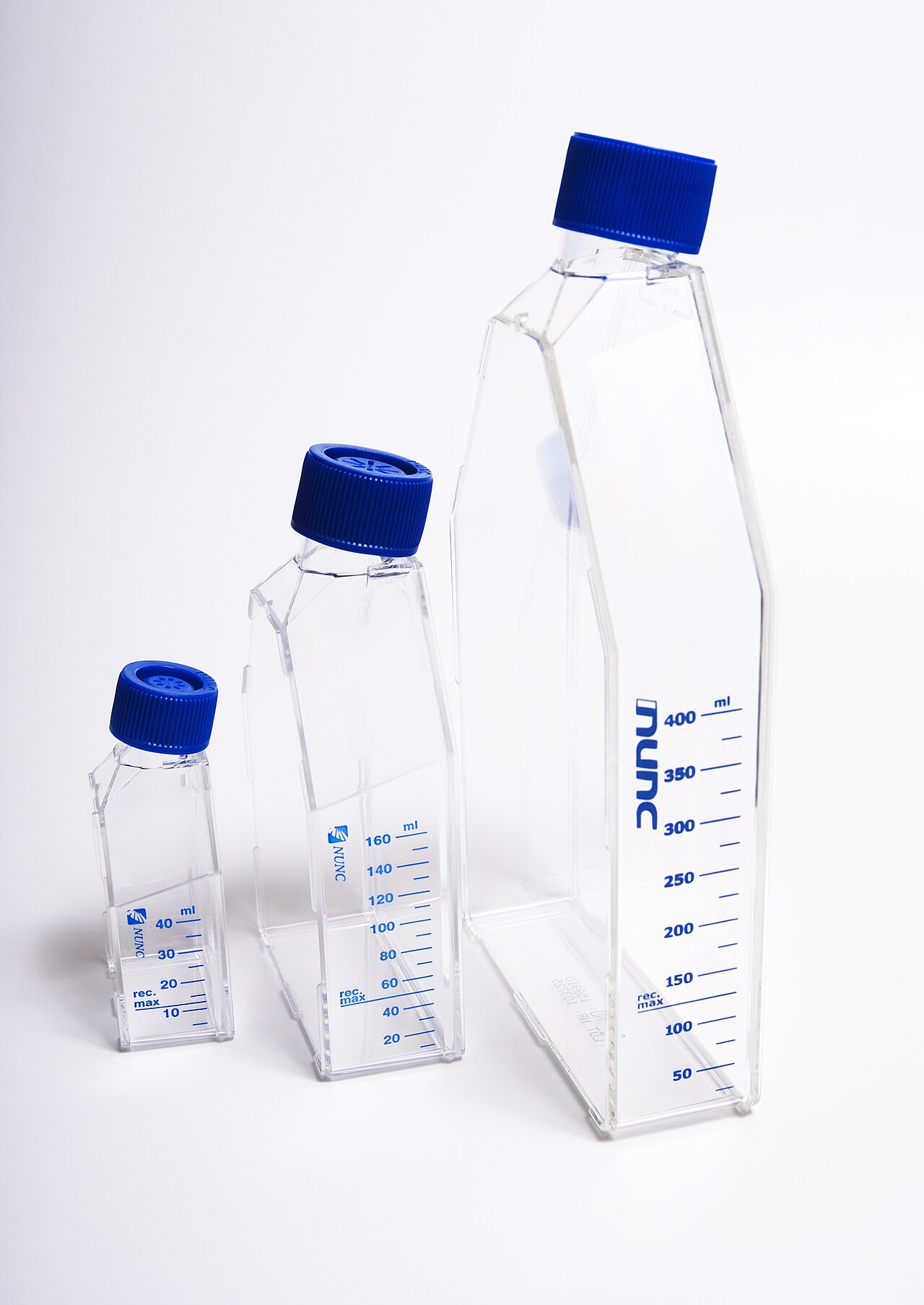 Set of different cell culture flat flasks
