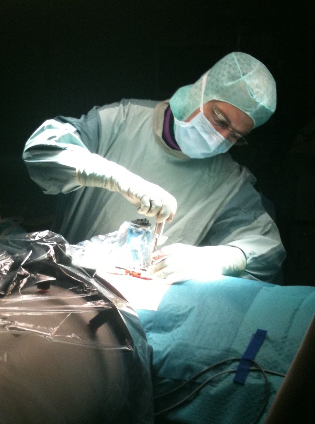 Micro-computed tomography and follicular depth analysis during active anagen growth phase.