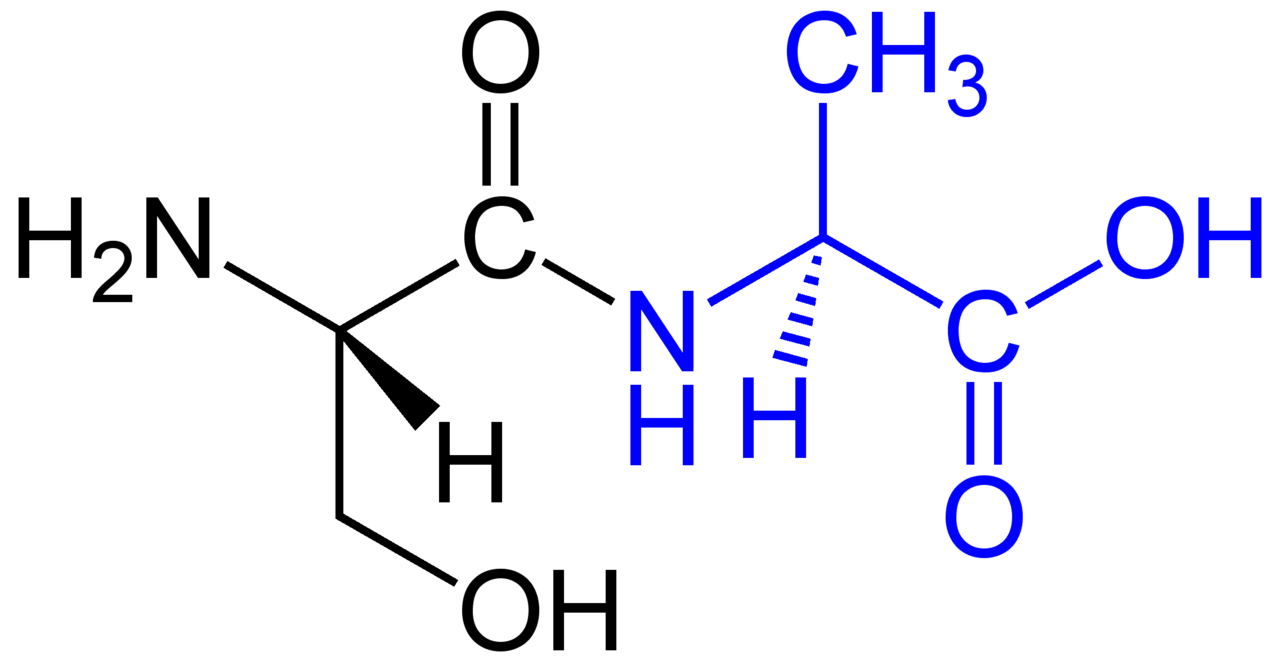 Dipeptide_structural_formulae