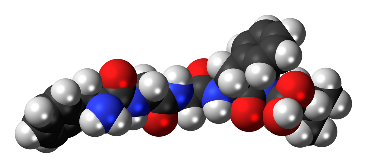 Space-filling model of the leu-enkephalin molecule, a peptide neurotransmitter . Color code: Carbon, C: black Hydrogen, H: white Oxygen, O: red Nitrogen, N: blue