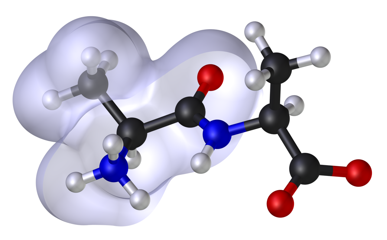 3D render of a molecular model. The molecule is alanine peptide . The shroud represents the region of hydrophobic repulsion, where the strength of the hydrophobic effect is approximately proportional to the surface area of the shroud. The s