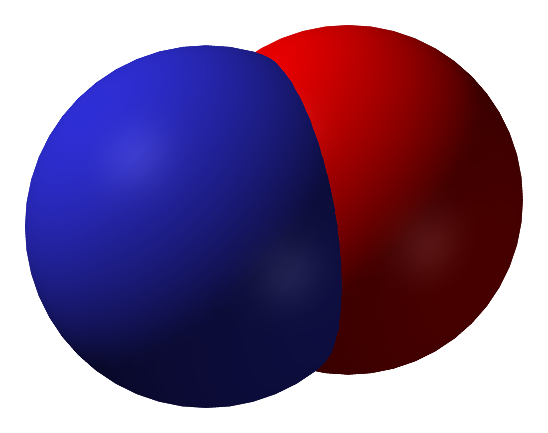 Space-filling model of the nitric oxide molecule.