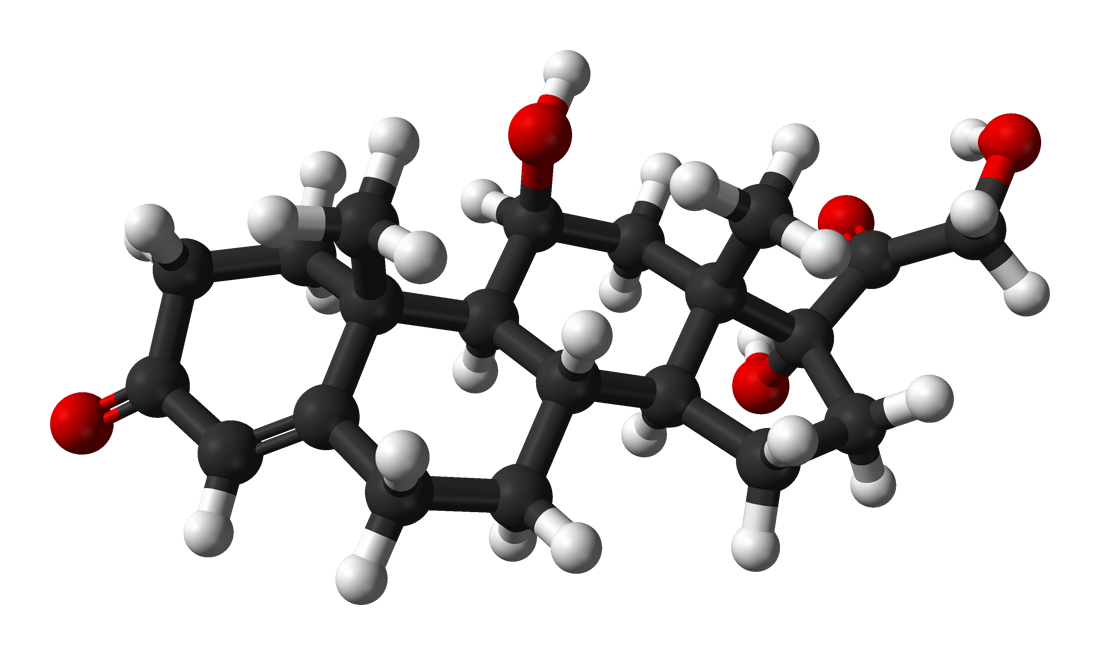 Ball-and-stick model of the cortisol (hydrocortisone) molecule. Structure from the Spartan database in Spartan '04 Student Edition . Image generated in Accelrys DS Visualizer .