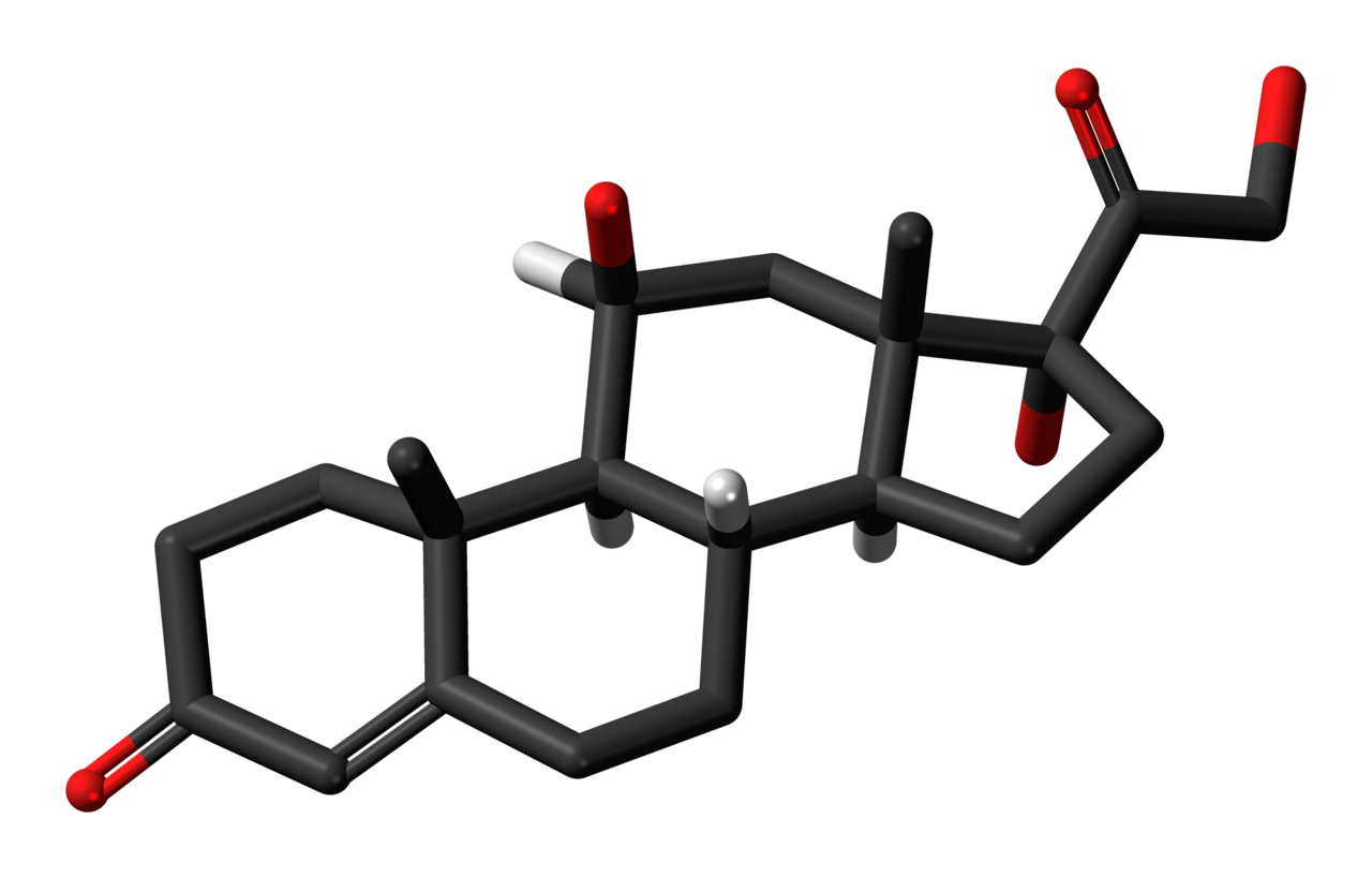 Skeletal stick model (non-chiral hydrogens omitted) of the cortisol molecule, a steroid hormone that controls the body's response to stress. Colour code: Carbon, C: black Hydrogen, H: white Oxygen, O: red