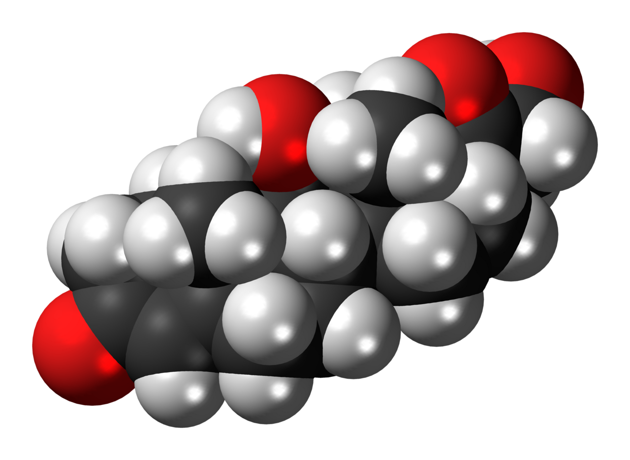 Space-filling model of the cortisol molecule, a steroid hormone that controls the body's response to stress. Colour code: Carbon, C: black Hydrogen, H: white Oxygen, O: red